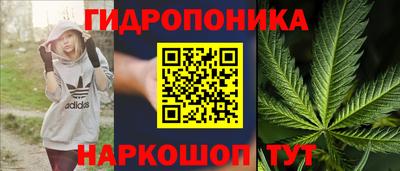 сатива Аргун
