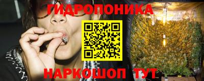 сатива Аргун