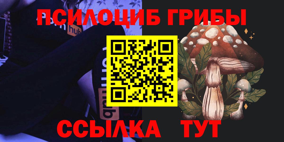 Псилоцибиновые грибы мицелий Аша